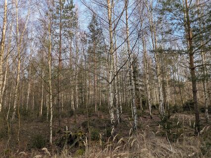 Photo de Hell-mood le long du parcours