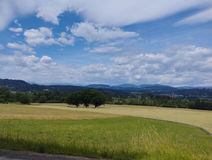 Foto von Iris Köstinger entlang der Tour