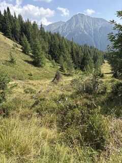 Foto von MiKo entlang der Tour