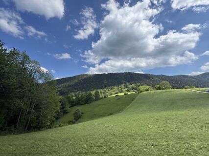 Foto de CarolineKlima a lo largo del recorrido