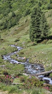 Fotografie z Cilli Waldhof na trase