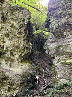 Fotografija s spletne strani Lili Bártfai na poti