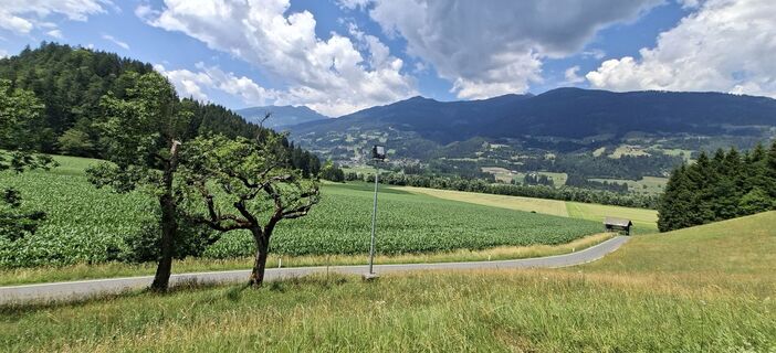 Foto von Mangolein entlang der Tour