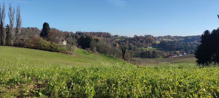 Fotografia z Lies Mohr na trase