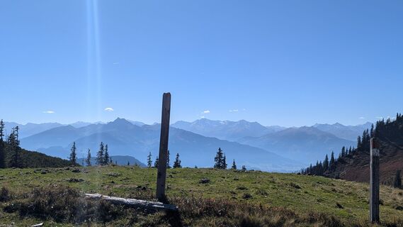 Foto von Ziegler Em1304 entlang der Tour