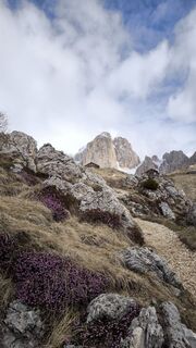 Foto från Mirko Stefani under resans gång