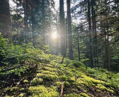Fotografija s spletne strani Natur_erleben_dg na poti