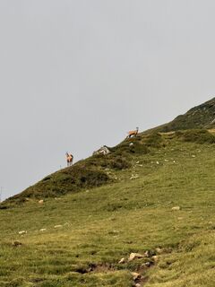 Foto von Sandro Hodel94 entlang der Tour