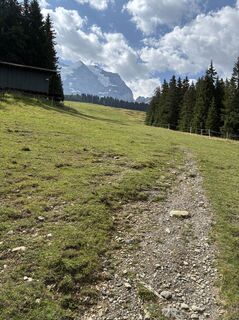 Foto von Francesco Di Nillo entlang der Tour