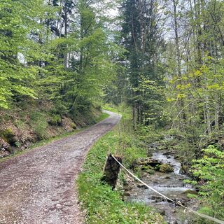 Abfahrt hinunter nach Schindelberg
