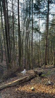 Foto von Nina Wolf entlang der Tour