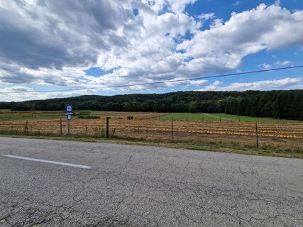 Foto von Szomi Balázs entlang der Tour