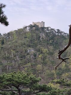 Photo de Christian Wildfeuer le long du parcours