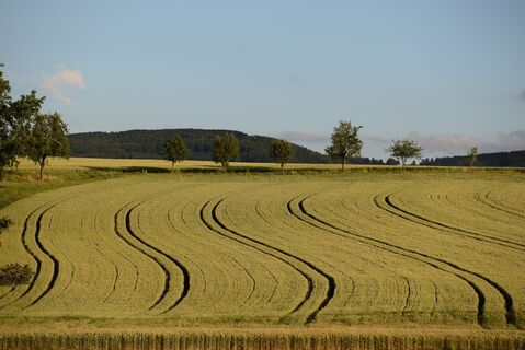 Weite Ackerflächen und saftige Wiesen säumen den Weg