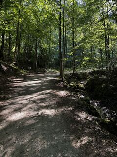 Foto von Birgit Haubner entlang der Tour