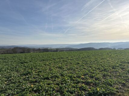 Fotografie z Sascha Marx na trase