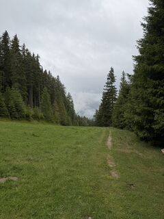 Foto von Marielle van Gent-Bos entlang der Tour