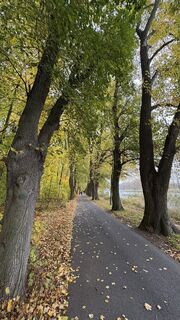 Fotografia z Richard Vlcek na trase