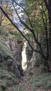 Foto de AleMiao a lo largo del recorrido