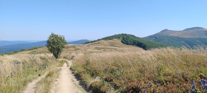 Fotografija s spletne strani Sylwiasuchy76 na poti
