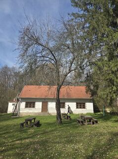 Photo de Darija Forgač le long du parcours
