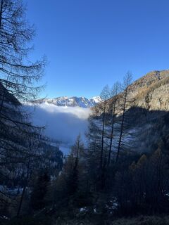 Fotografija s spletne strani Sebastian Skubel na poti