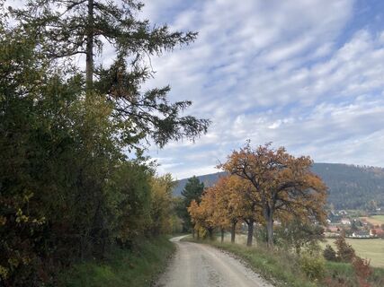 Photo de Reinhard S le long du parcours