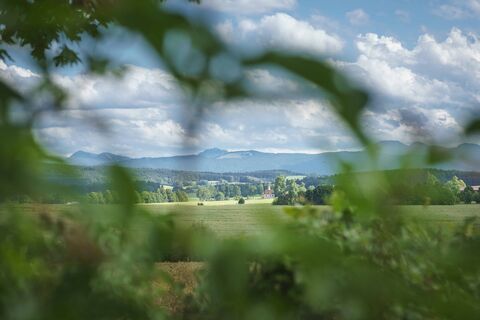 Holzkirchen