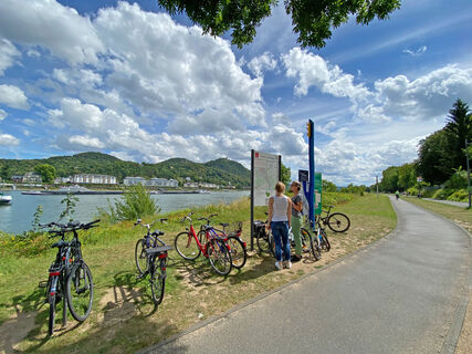 Radfahren auf dem Rheinradweg