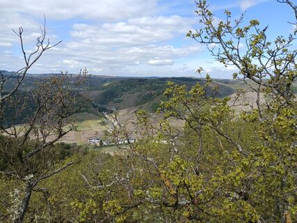 Zdjęcie z Peter Kaulen wzdłuż trasy