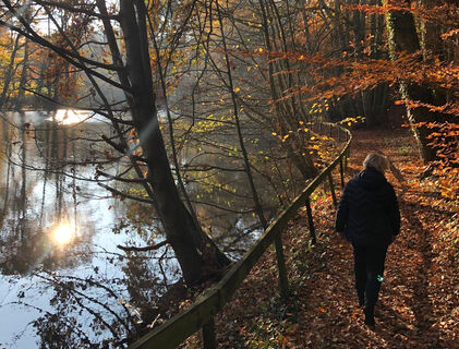 Rundweg No. 3 im Wandergebiet Billkuhle in Berge