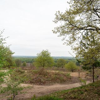 Wahner Heide