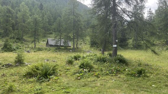 Fotografija s spletne strani Johanna Gründlinger na poti