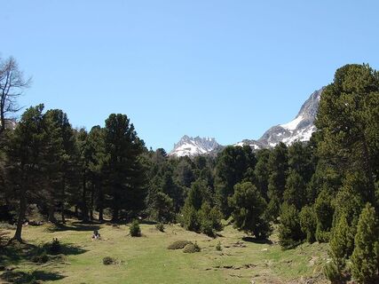 146765_f.jpg