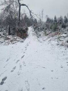 Foto de Volker Wagener a lo largo del recorrido