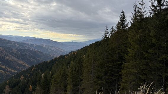 Foto från Zsolt Kozsla under resans gång