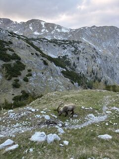 Foto von Benoit Bletterie entlang der Tour