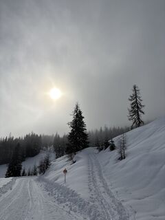 Fotografija s spletne strani Heinz Sperl na poti