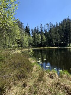 Foto fra Kristina  1 undervejs på turen