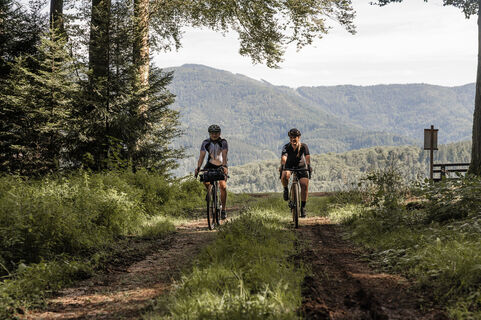 Gravelbike