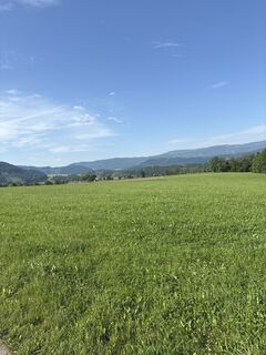 Fotografija s spletne strani Mandy Friedrich na poti