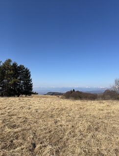 Photo de Marki1966 le long du parcours