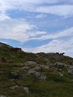 Fotografia z Gabriele Ravasi na trase