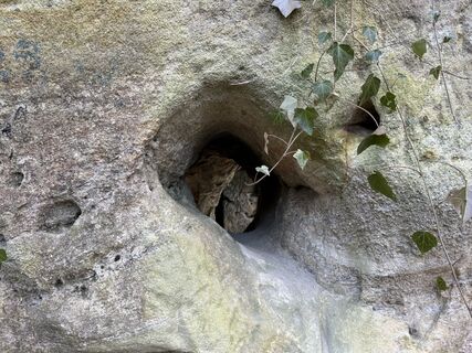 Zdjęcie z Norbert Herbig wzdłuż trasy