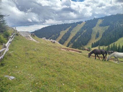 Fotografie z Georg na trase