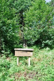 Wald