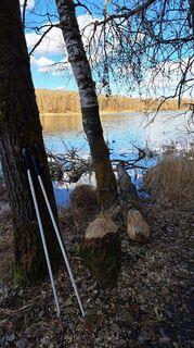 Foto von Jlhofbauer entlang der Tour