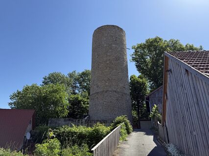 Foto de Norbert Herbig a lo largo del recorrido