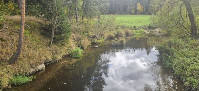 Fotografia z Berni_S na trase