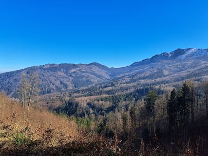 Fotografie z Rudi na trase